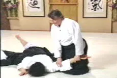 Aikido Principles & Techniques DVD by Mary Heiny