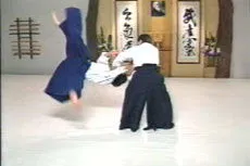 Aikido Principles & Techniques DVD by Mary Heiny