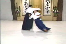 Aikido Principles & Techniques DVD by Mary Heiny