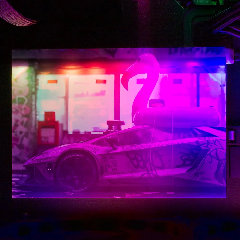 Bad Flamingo 2 RGB HDD Cover Horizontal