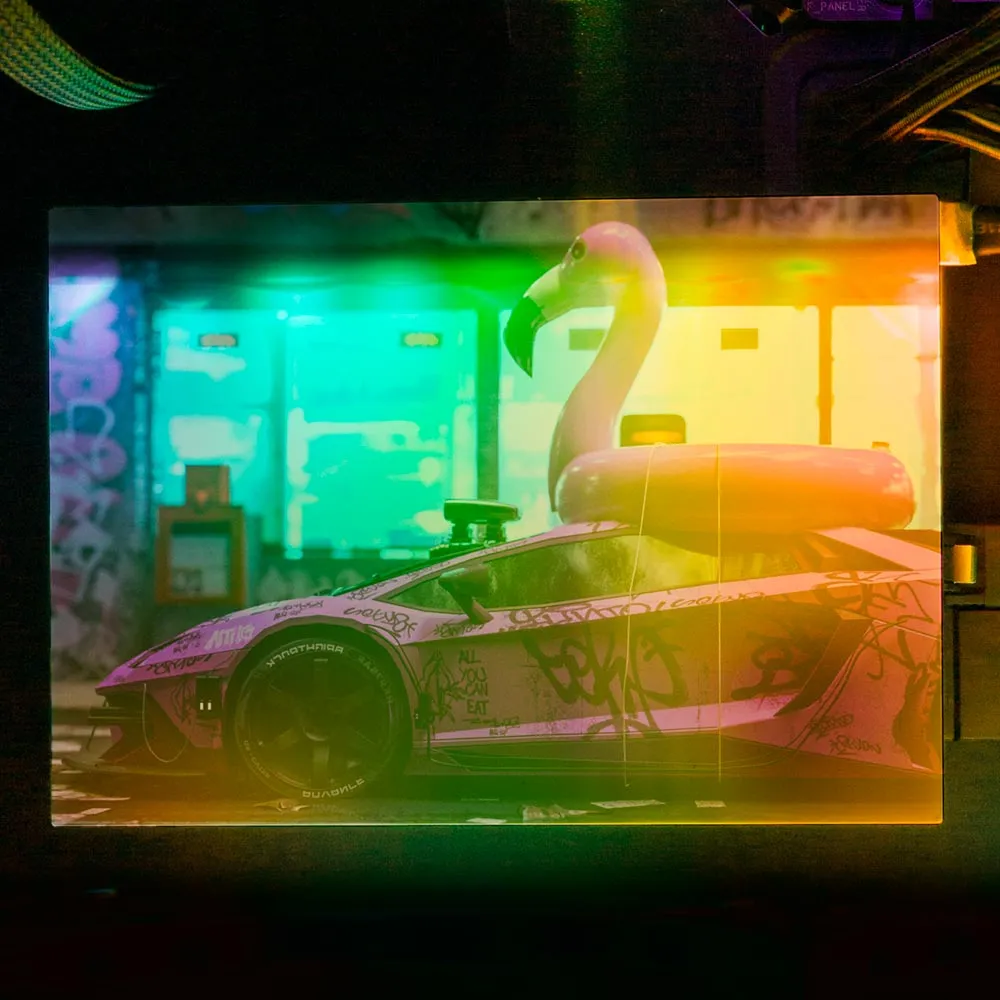 Bad Flamingo 2 RGB HDD Cover Horizontal
