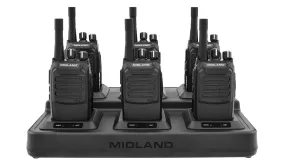 BizTalk® BGC200 Gang Charger