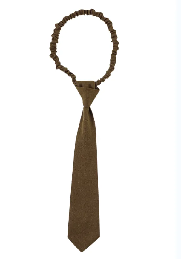 Business Tie in Brown