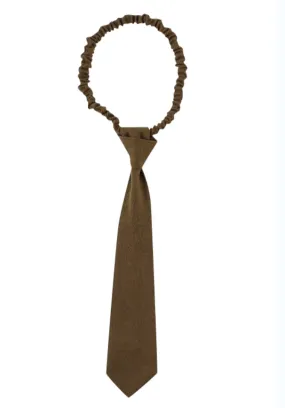 Business Tie in Brown